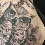 Tattoos - A Horned Owl with Books - 110167
